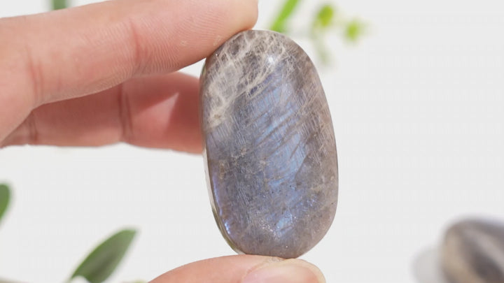 Natural Moonstone Palm Stone