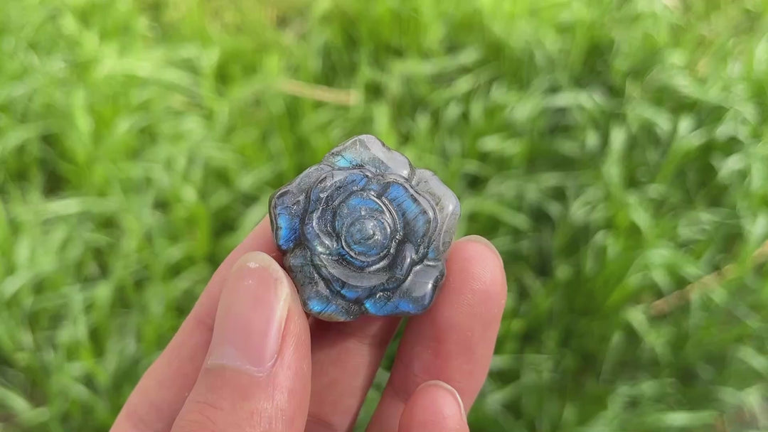 Natural Labradorite Rose