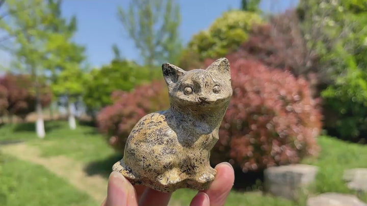 Picture Jasper Cat