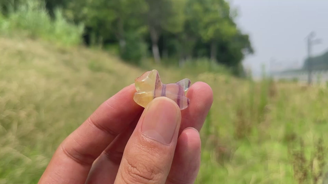 Natural Crystal Adorable Fluorite Wiggly Cat Carving
