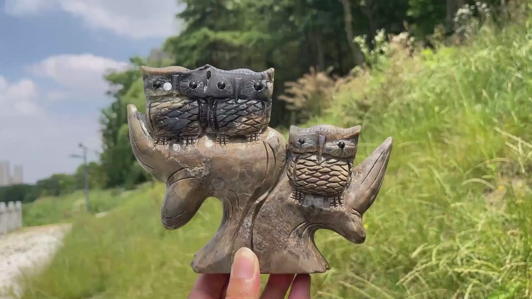 Unique,A Slightly Imperfect Natural Volcanic Agate Owl Family Carving