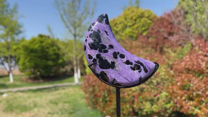 Unique,Natural Charoite Carved Moon With Stand