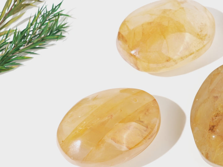 Natural Golden Healer Palm Stone