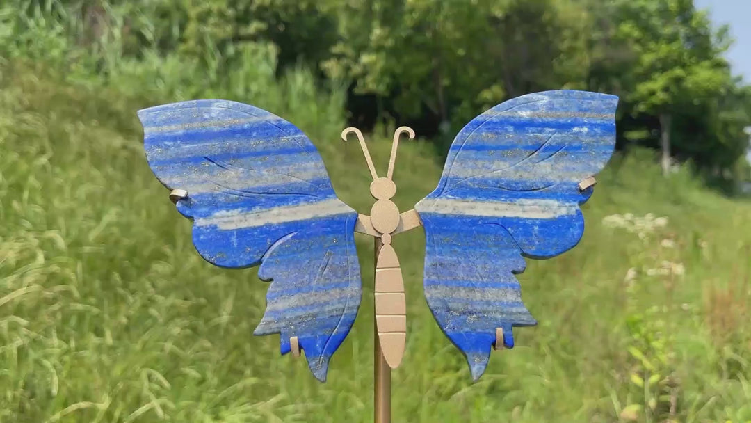 Unique,Natural Crystal Lapis Lazuli Butterfly Wing Set