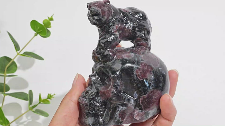 Unique,Natural Crystal Garnet With Arfvedsonite Bear On Skull