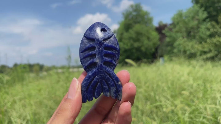 Natural Crystal Fish Bone Carving