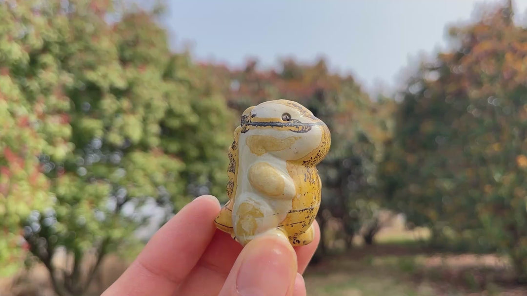 Natural Crystal Picture Jasper Dinosaur