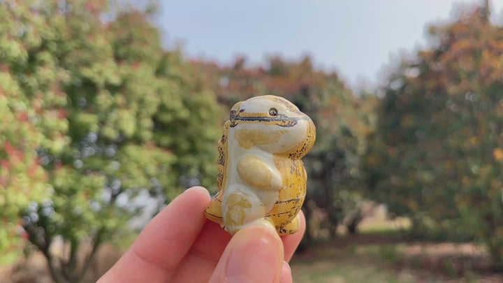 Natural Crystal Picture Jasper Dinosaur
