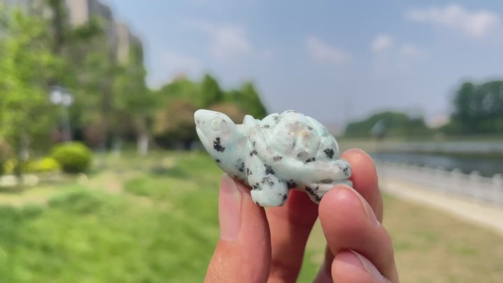 Natural Crystal Carving Turtle