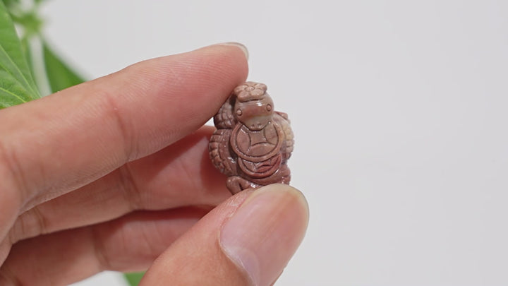 Natural Crystal Alashan Agate Coin Snake