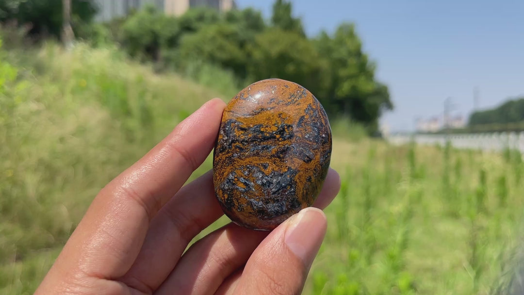 Natural Crystal Pietersite Palm Stone