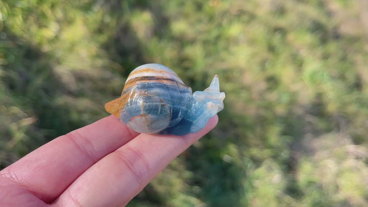 Natural Lemurian Aquatine Calcite Snail