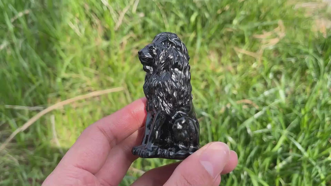 Natural Carved Obsidian Lion