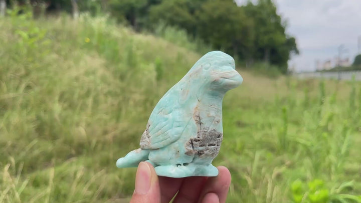 Unique,Natural Crystal Hemimorphite Cute Bird Carving