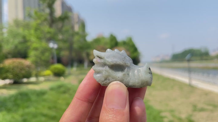 Dragon Skull