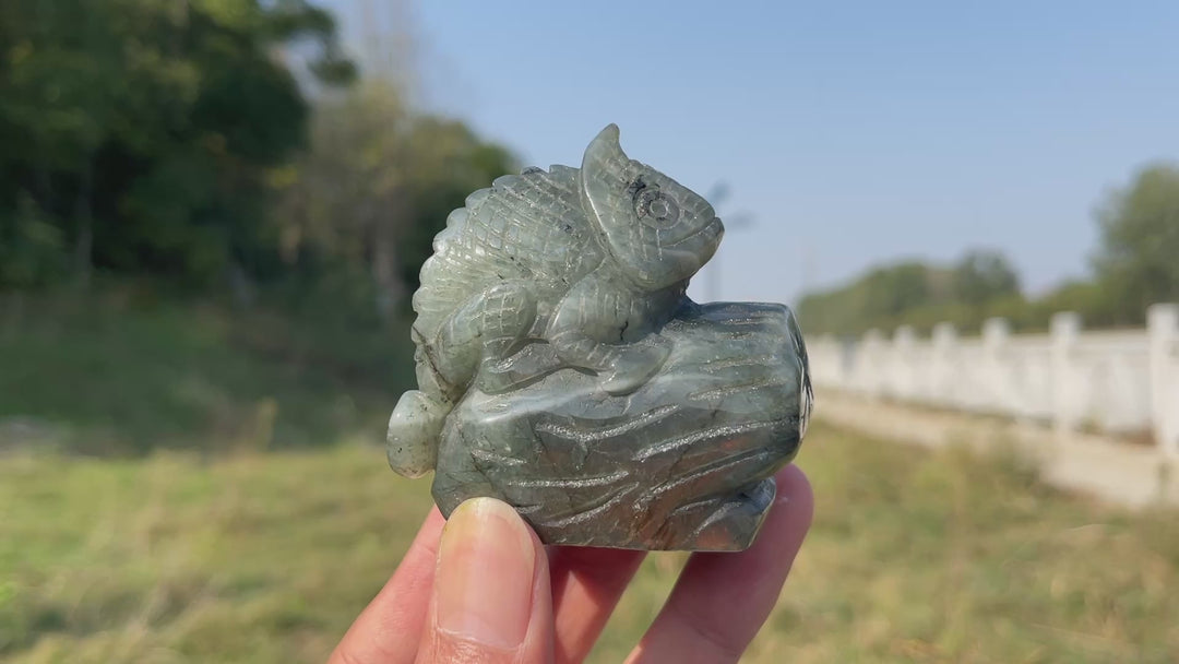 Unique,A Slightly Imperfect Natural Crystal Carving Labradorite Lizard