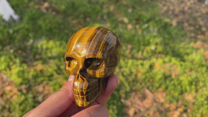 Unique,Natural Crystal Tiger Eye Skull