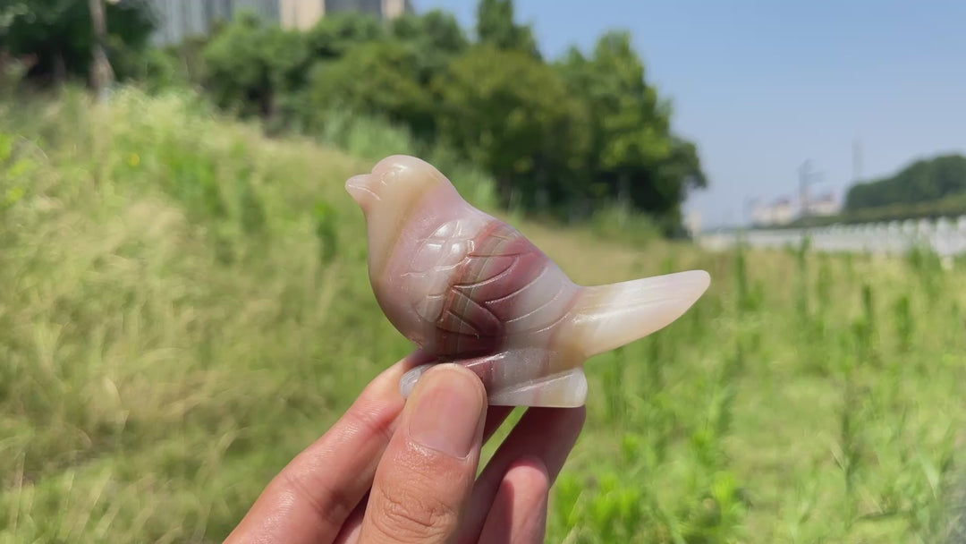 Natural Crystal Calcite Cute Bird Carving