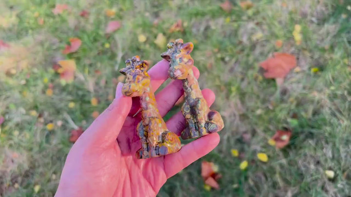 Natural Conglomerate Jasper Giraffe