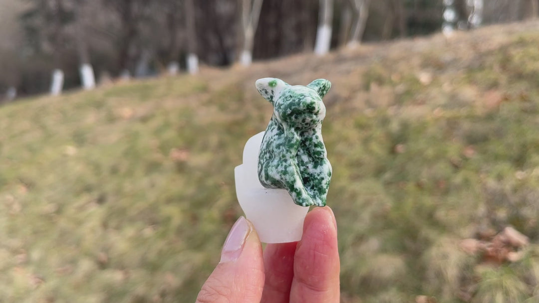 Natural Crystal Carved Toilet Pig