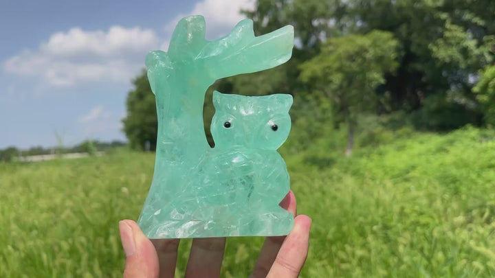 Unique,A Slightly Imperfect Natural Crystal Wise Owl On Tree Branch Carving