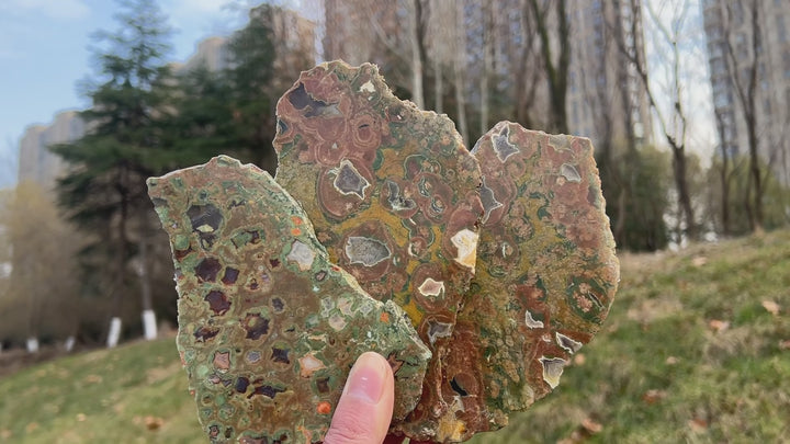 Natural Rainforest Jasper Slice