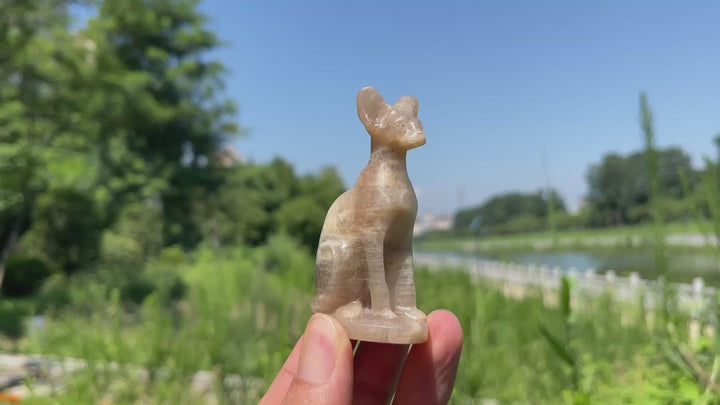 Natural Crystal Moonstone Seated Sphynx Cat Carving