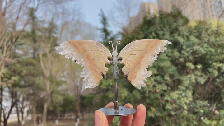 Unique,Natural Crystal Chrysanthemum Cluster Butterfly Wings