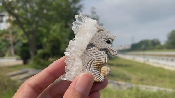 Natural Crystal Cluster Seahorse