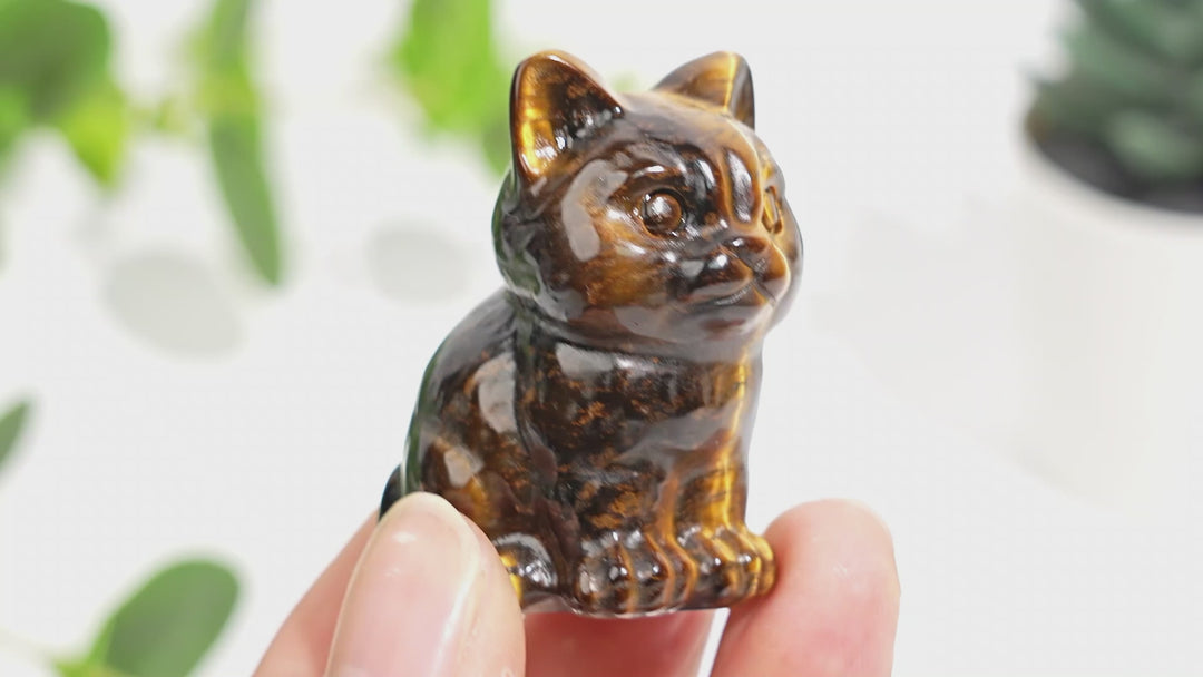 Natural Crystal Carved Tiger Eye Sitting Cat