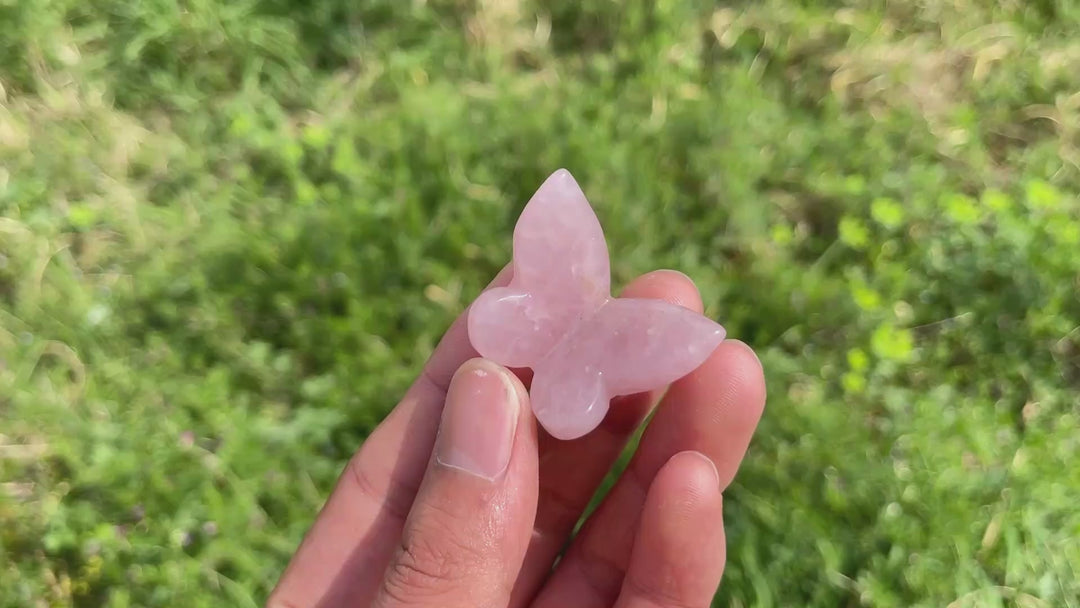 Natural Crystal Carving 3D Butterfly