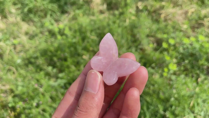 Natural Crystal Carving 3D Butterfly
