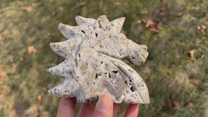 Unique,Natural Crystal Carving Agate Geode Unicorn