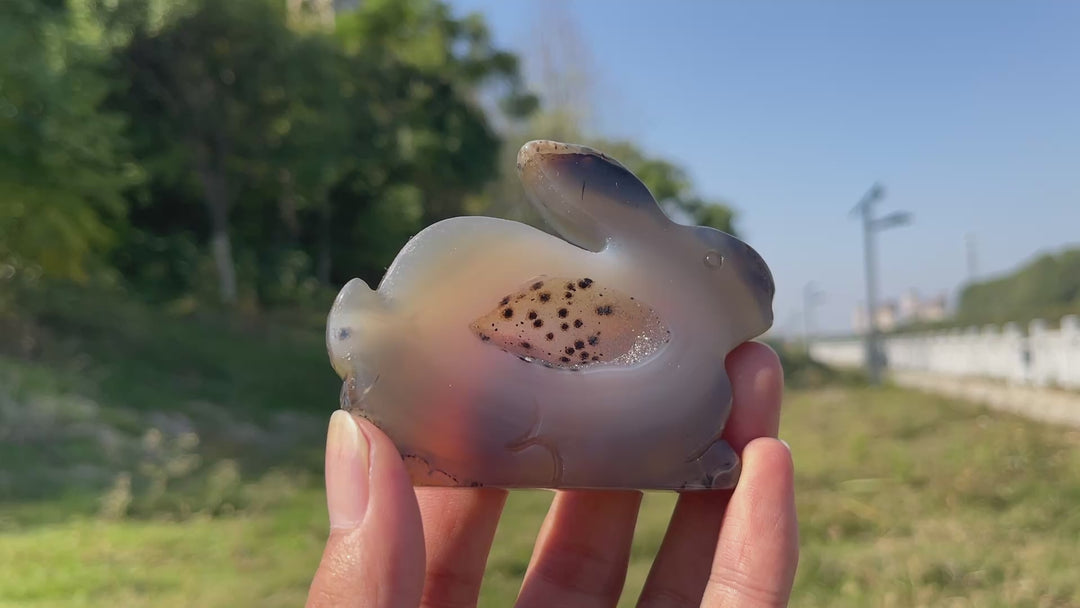 Unique,A Slightly Imperfect Natural Crystal Carving Agate Geode Rabbit