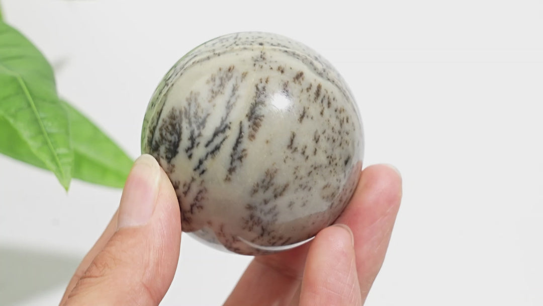 Natural Crystal Delicate Green Dendritic Calcite Sphere