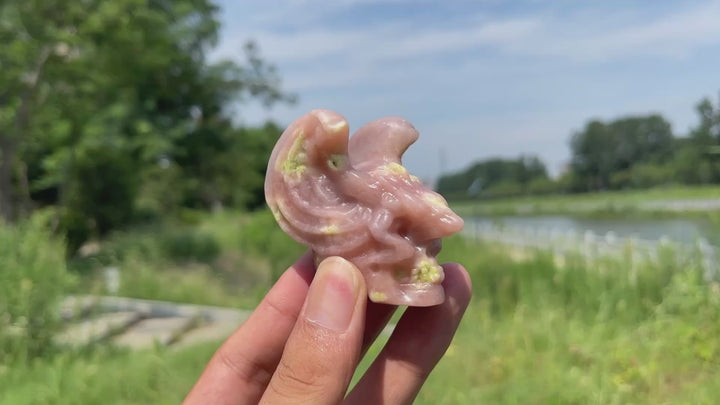 Natural Crystal Dragon Winged Skull Carving