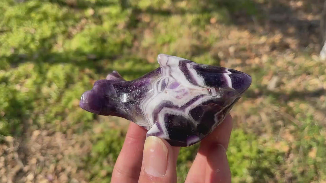Natural Crystal Carving Dream Amethyst Shark