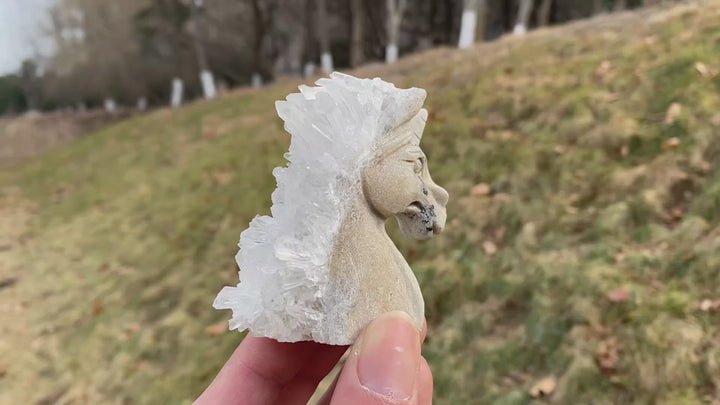 Unique,Natural Clear Quartz Cluster Unicorn