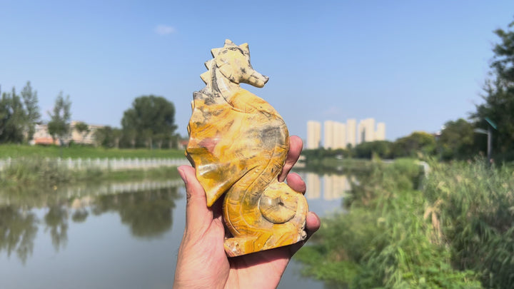 Crazy Agate Hippocampus