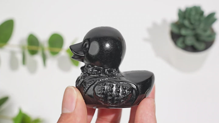Obsidian Punk Duck