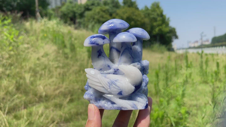 Unique,A Slightly Imperfect Natural Blue And White Porcelain Sodalite Mushroom