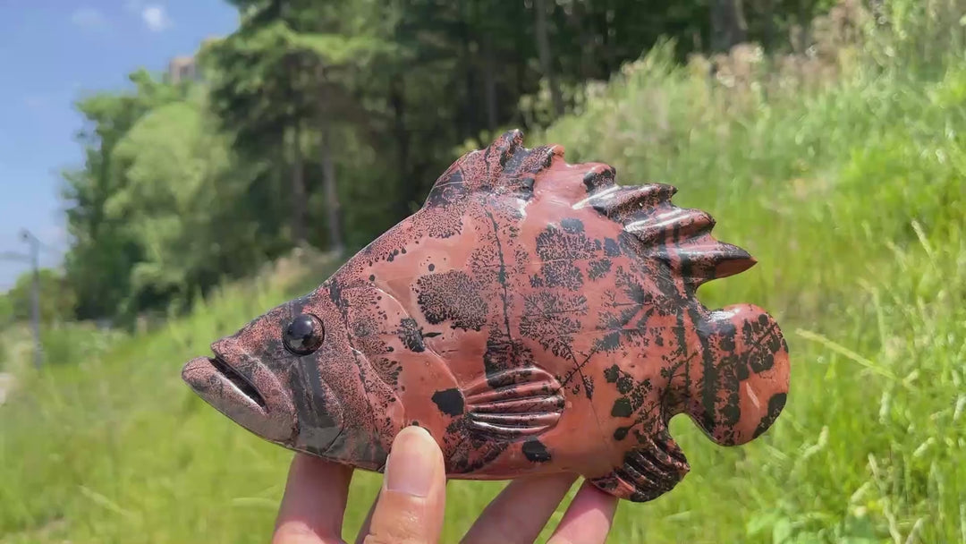 Unique,Natural Crystal Cute Picture Jasper Fish Carving