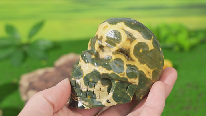 Unique,Natural Ocean Jasper Skull