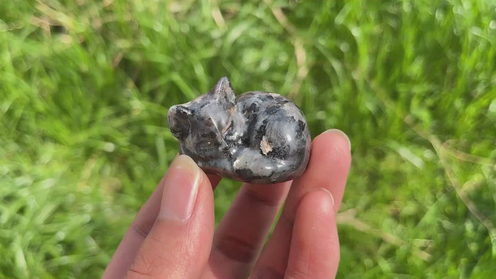 Natural Crystal Larvikite Sleeping Cat