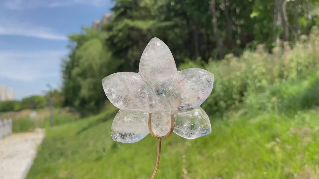 Unique,Natural Crystal Orchid Carving