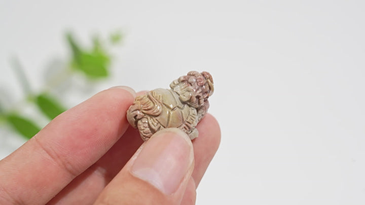 Natural Crystal Carving Alashan Agate Dragon Turtle