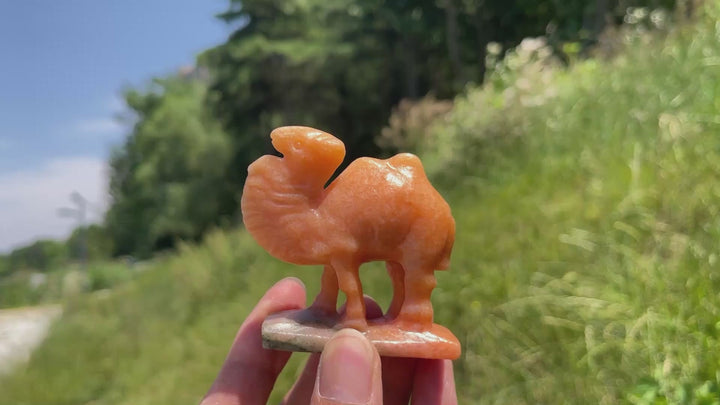 Natural Warm Orange Calcite Camel Carving