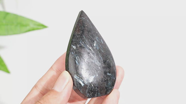 Natural Crystal Garnet With Arfvedsonite Teardrop