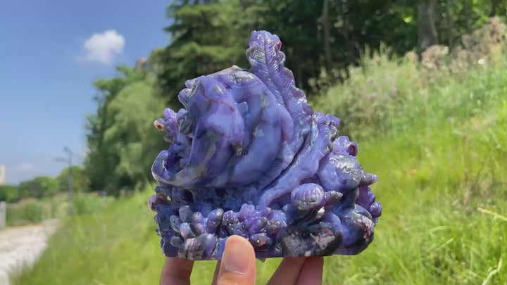 Unique,Natural Whimsical Blue Flower Agate Underwater World Carving