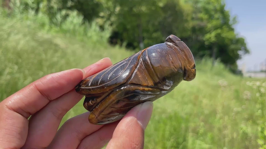 Unique,Natural Crystal Tiger Eye Animal Carving